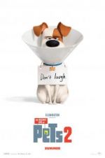 Watch The Secret Life of Pets 2 Movie4k