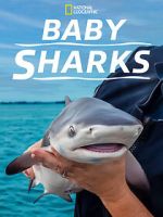 Watch Baby Sharks Movie4k