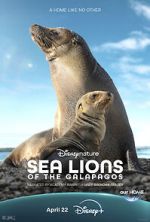 Watch Sea Lions of the Galapagos (TV Special 2025) Movie4k