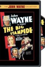 Watch The Big Stampede Movie4k