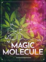 Watch Magic Molecule Movie4k