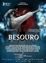 Watch The Assailant Movie4k