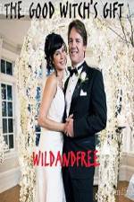 Watch The Good Witch's Gift Movie4k