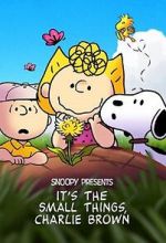 Watch Snoopy Presents: It's the Small Things, Charlie Brown (TV Special 2022) Movie4k
