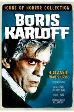 Watch The Boogie Man Will Get You Movie4k