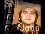 Watch Saturday Night Live: The Best of John Belushi Movie4k