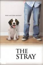 Watch The Stray Movie4k
