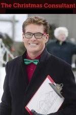 Watch The Christmas Consultant Movie4k