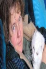 Watch Ciao Meow Movie4k