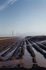 Watch El Valley Centro Movie4k