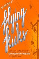 Watch The Mystery of Flying Kicks Movie4k