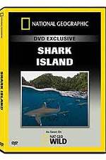 Watch National Geographic: Shark Island Movie4k