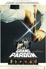 Watch The Big Pardon Movie4k