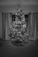 Watch The Christmas Miracle Movie4k