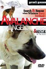 Watch Avalanche Angels Movie4k