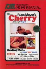 Watch Cherry Harry & Raquel Movie4k