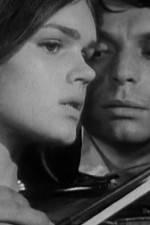 Watch Pavoncello Movie4k