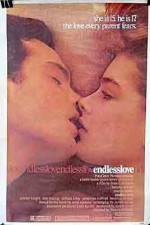 Watch Endless Love Movie4k