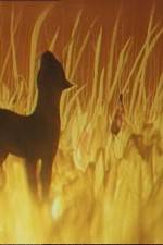 Watch The Cat Who Walked by Herself Movie4k