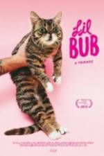Watch Lil Bub & Friendz Movie4k