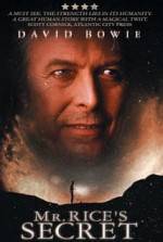 Watch Mr. Rice's Secret Movie4k