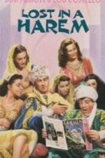 Watch Lost in a Harem Movie4k
