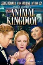 Watch The Animal Kingdom Movie4k