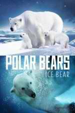 Watch Polar Bears Ice Bear Movie4k