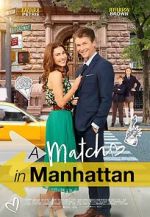 Watch A Match in Manhattan Movie4k
