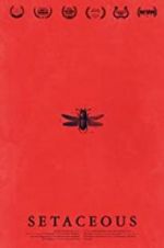 Watch Setaceous Movie4k