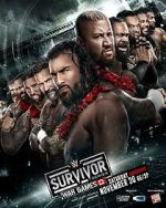 Watch WWE Survivor Series WarGames (TV Special 2024) Movie4k