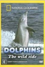 Watch Dolphins: The Wild Side Movie4k