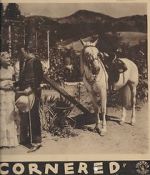 Watch Cornered Movie4k