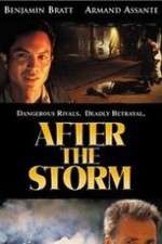 Watch After the Storm Movie4k