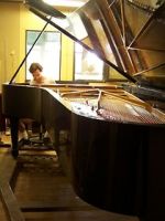 Watch Note by Note: The Making of Steinway L1037 Movie4k