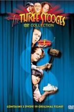 Watch The Ghost Talks Movie4k