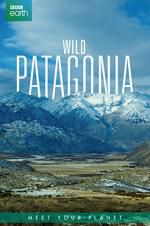 Watch Wild Patagonia Movie4k