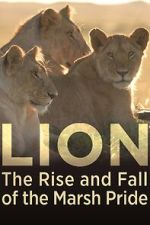 Watch Lion: The Rise and Fall of the Marsh Pride Movie4k