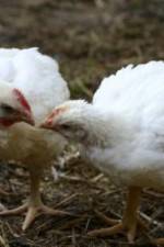 Watch Meet Your Meat Movie4k