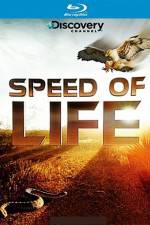 Watch Speed of Life Movie4k