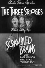 Watch Scrambled Brains Movie4k