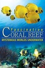 Watch Fascination Coral Reef: Mysterious Worlds Underwater Movie4k