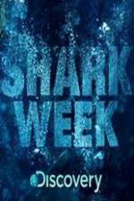 Watch Shark Week Movie4k