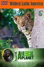 Watch Wildest Latin America Movie4k