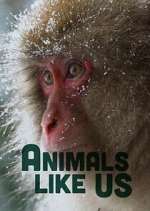 Watch Animals Like Us Movie4k