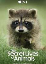 Watch The Secret Lives of Animals Movie4k