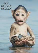 Watch Spy in the Ocean Movie4k