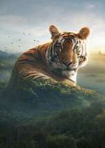 Watch Asia Movie4k