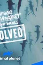 Watch Nature\'s Strangest Mysteries: Solved Movie4k