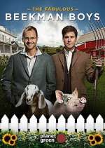Watch The Fabulous Beekman Boys Movie4k